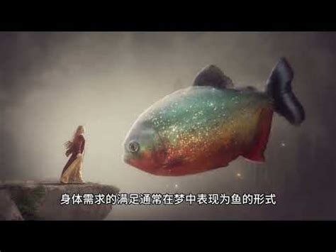 魚代表數字|夢到魚數字